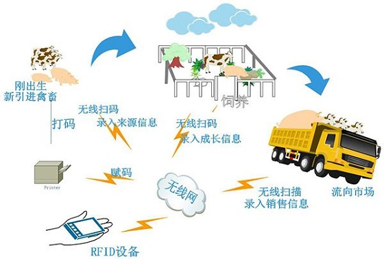RFID設備以及技術在畜牧業(yè)的應用場景